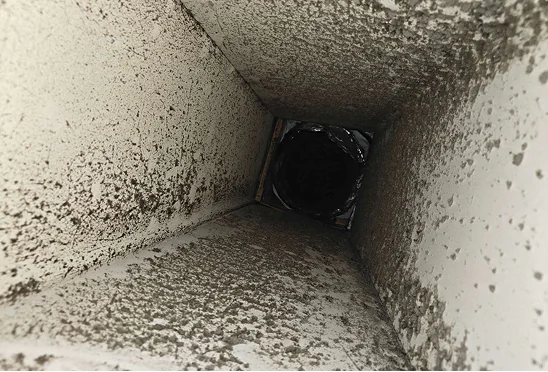 ducted-before-heating ducted-before-heating