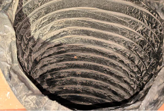 evaporative-before1 evaporative-before1
